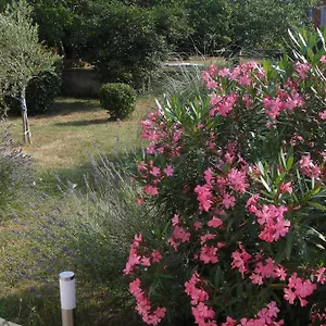 Adriana Labin (Istria)